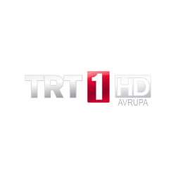 Turkish broadcsat partner tv logo